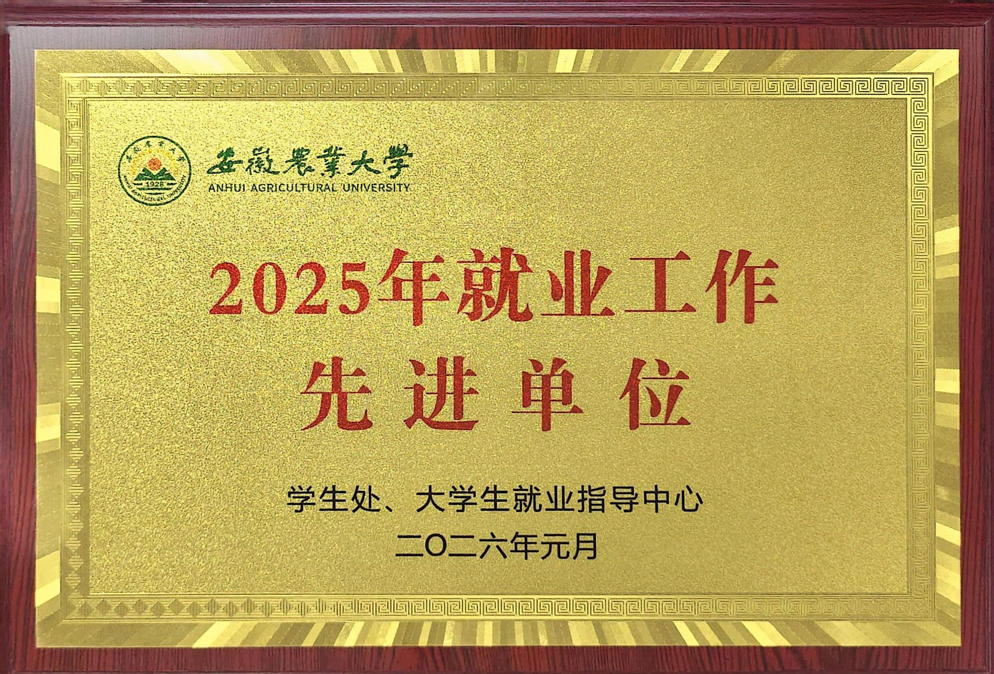 学院获评2025年度就业工作先进单位