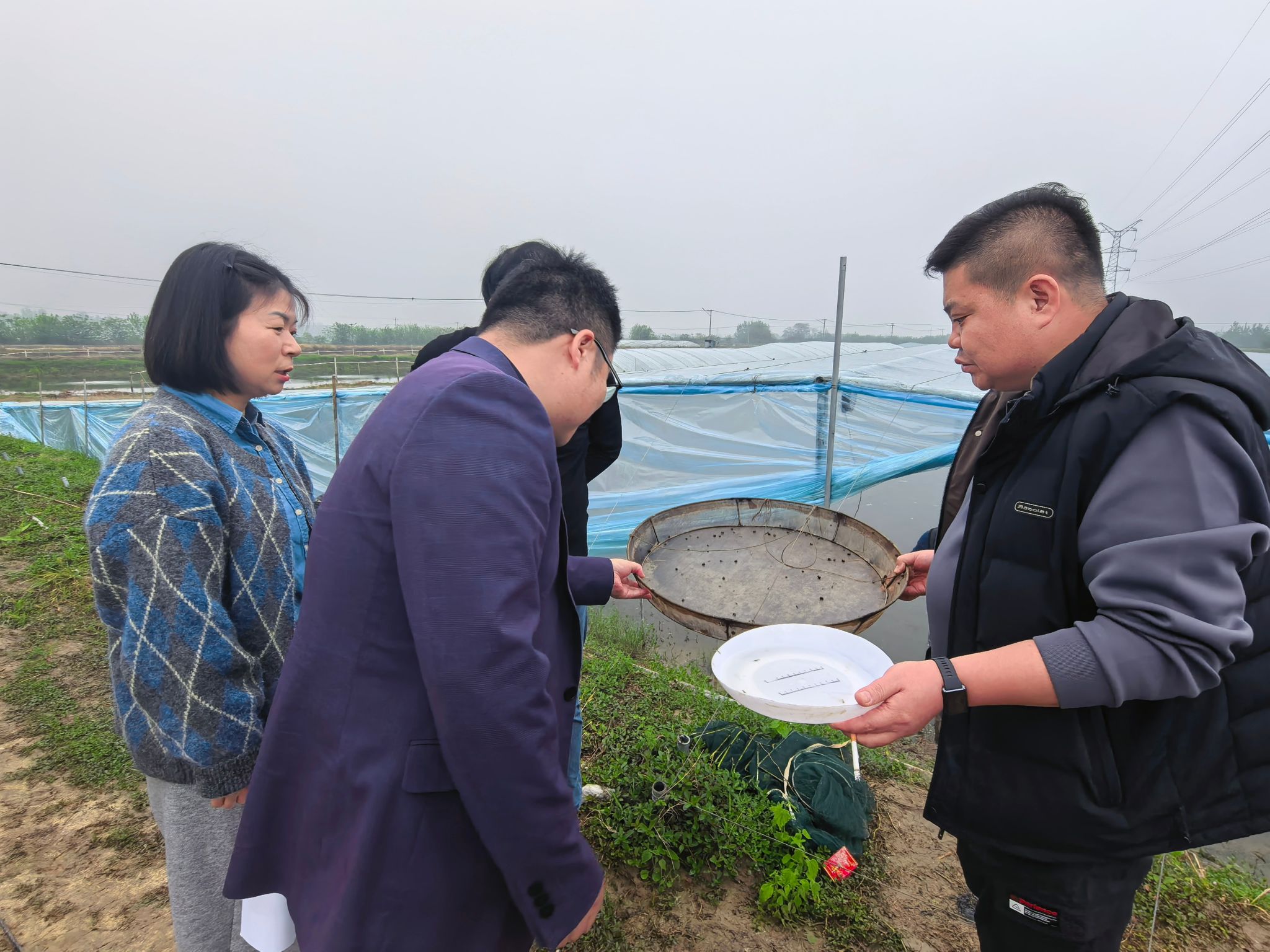 皖中试验站水产联盟专家赴庐江开展技术指导