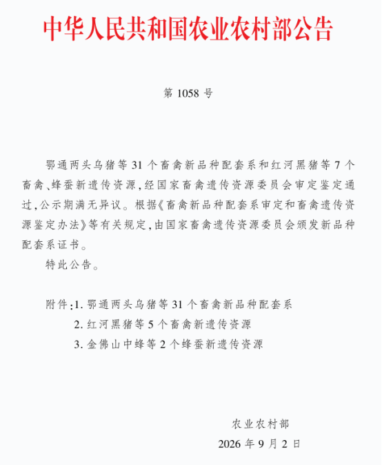 我校两项畜禽新品种通过国家审定 在畜禽种业创新上再获突破 ——皖岳黑猪、凤达黑凤蛋鸡获“国字号”审定，学校服务种业振兴再添标志性成果