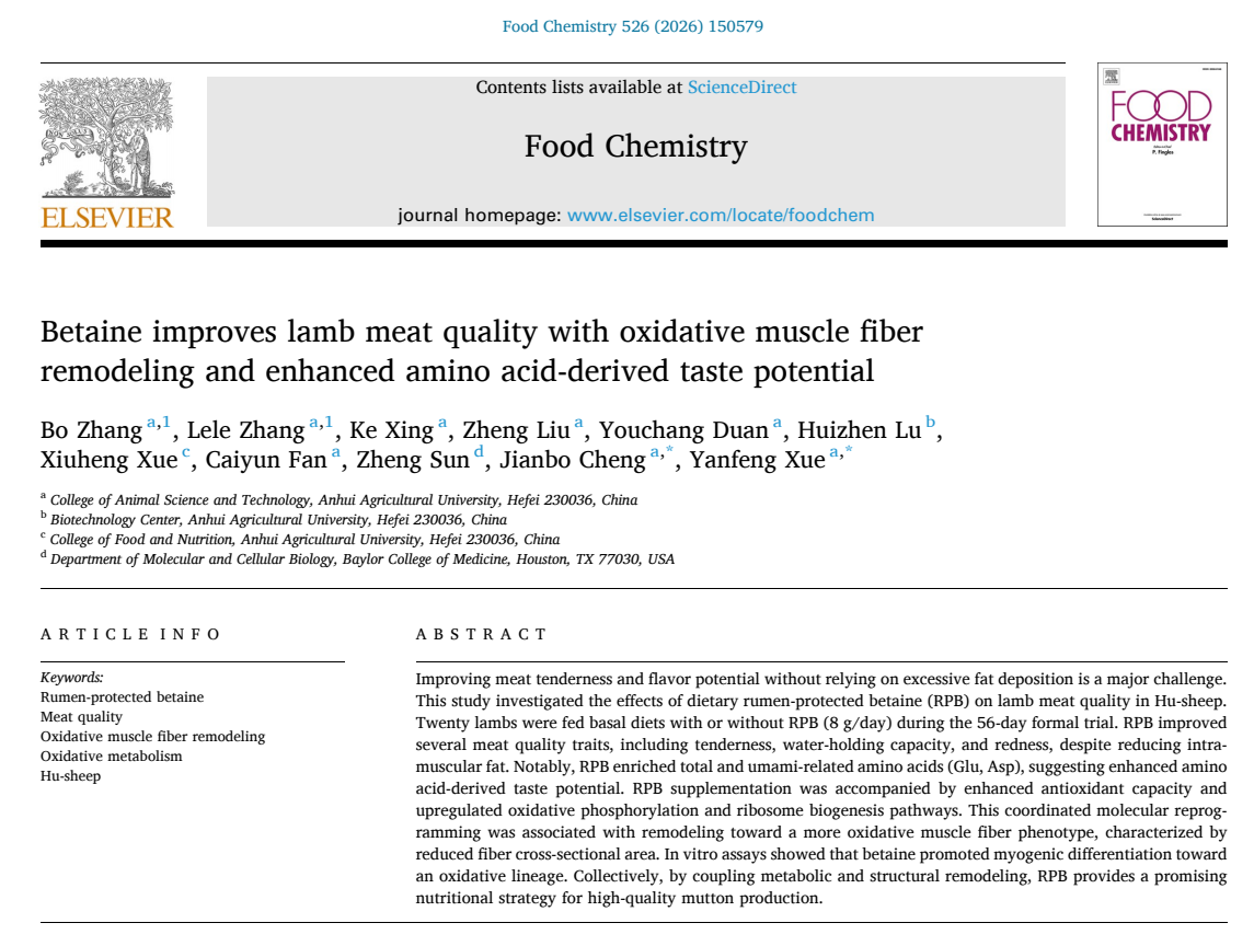 《Food Chemistry》刊发学校薛艳锋/程建波教授团队关于过瘤胃甜菜碱改善湖羊肉品质的研究成果