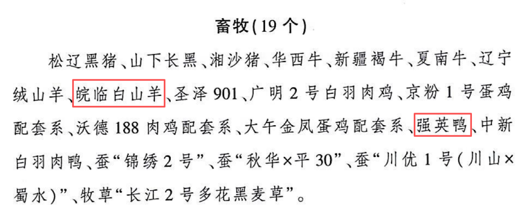 我校专家培育的皖临白山羊、强英鸭入选2026年农业主导品种